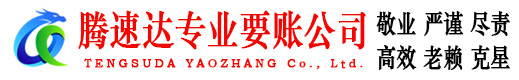 岱岳收账公司